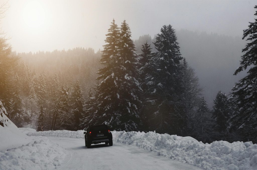 A car driving in the snow, surrounded by palm trees.